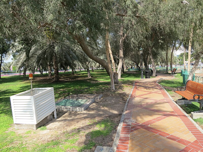 Green Parks in Abu Dhabi mitigate urban heat island effect by up to 2.2°C: study   